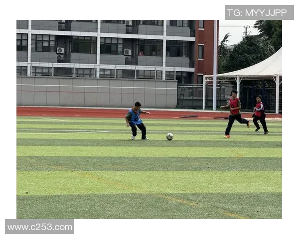 伊朗国足球星闪耀绿茵赛场展现民族精神与竞技风采 伊朗国足球星闪耀绿茵赛场展现民族精神与竞技风采