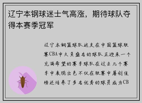 辽宁本钢球迷士气高涨，期待球队夺得本赛季冠军